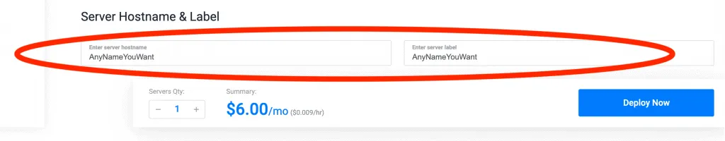 Deploy Vultr High Frequency Server Hostname and Label