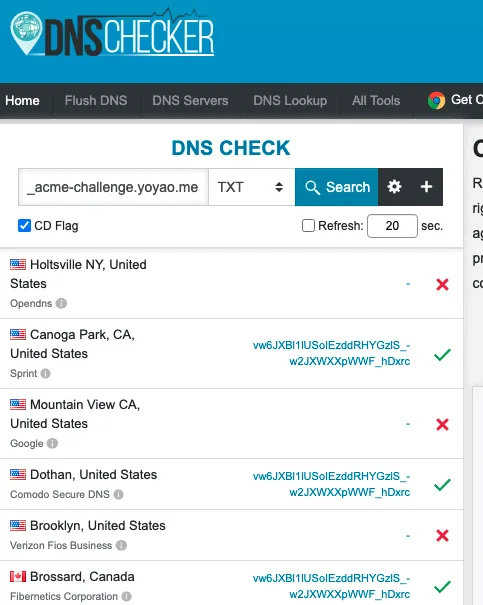 Check SSL Certificate DNS Record