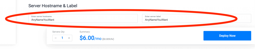 Deploy Vultr High Frequency Server Hostname and Label