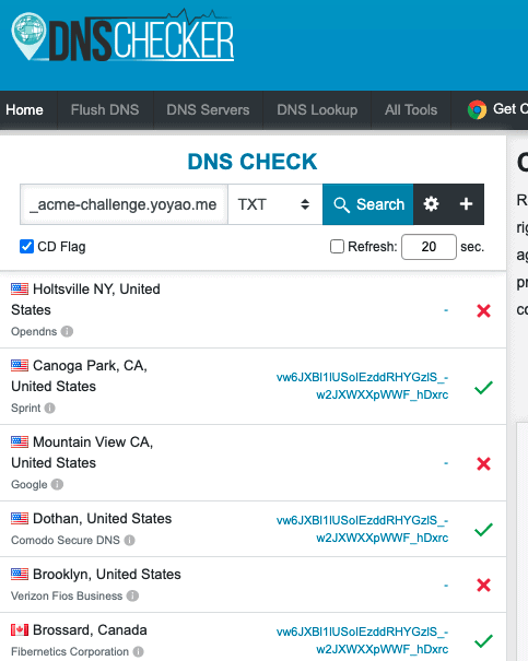 Check SSL Certificate DNS Record