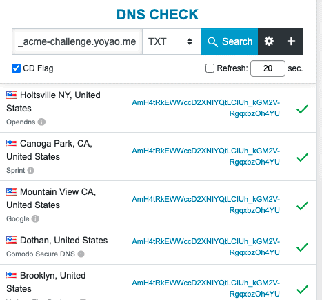 DNS Records Success