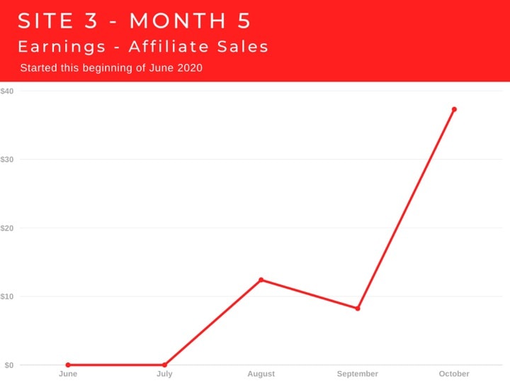Site 3 Case Study Month 5 Earnings Affiliate Sales
