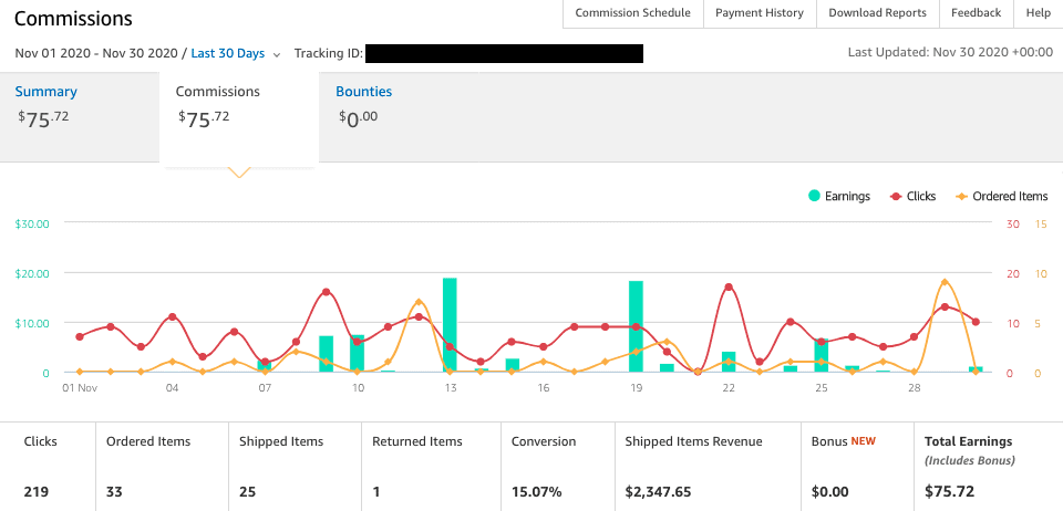 Site 3 Case Study Month 6 November 2020 Amazon Affiliates Commissions